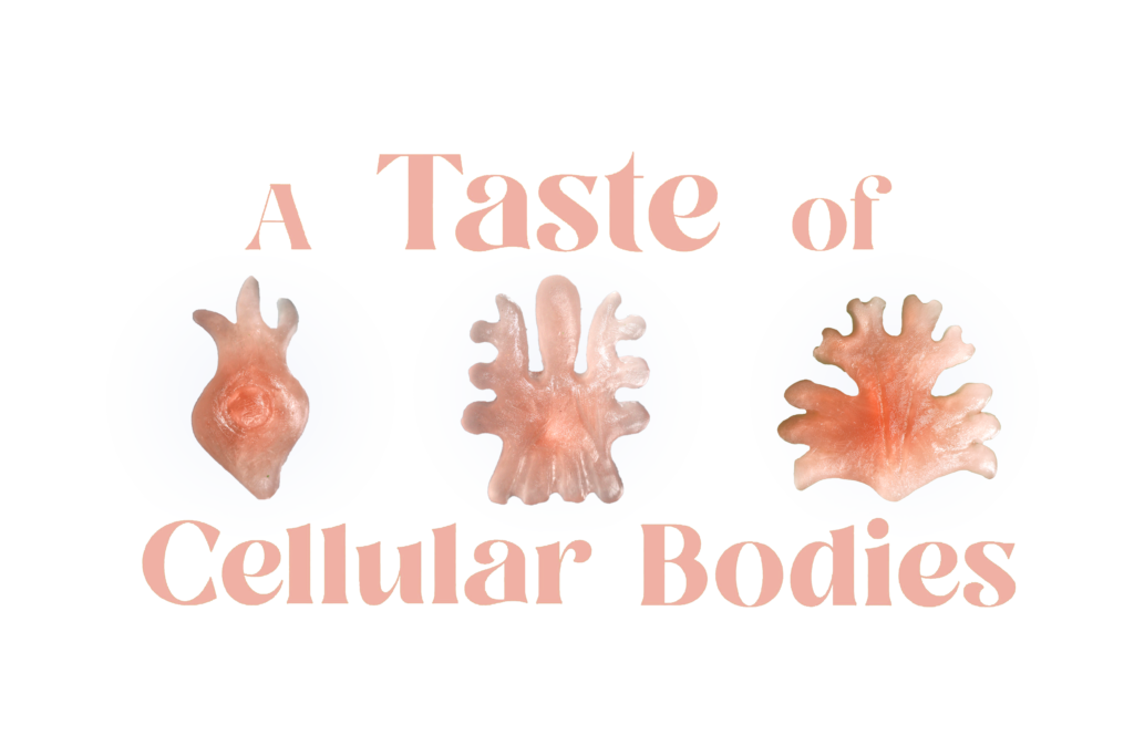 A Taste of Cellular Bodies